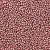 8/0 Glass Seed Beads X-SEED-A017-3mm-1108-2