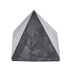 Natural Shungite Home Display Decorations G-F675-22-2