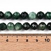 Natural Fuchsite Beads Strands G-T140-20B-5
