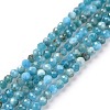 Natural Apatite Beads Strands G-E411-36-2mm-01-2