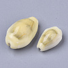 Natural Cowrie Shell Beads SSHEL-N034-C-26-2