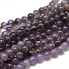 Natural Amethyst Beads Strands X-G-I256-02A-1