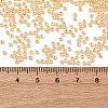 10G Silver Lined Glass Seed Beads SEED-L013-01C-3