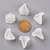 Transparent Acrylic Bead Caps PL551-5