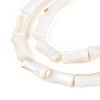 Natural Freshwater Shell Beads Strands SHEL-N038-02-3