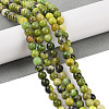 Natural Serpentine Beads Strands G-G829-06-4mm-2