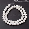 Natural Howlite Beads Strands G-G770-06-2