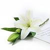 Imitation Leather Artificial Lily LS-PW-WGFA2FB-03-1