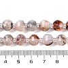Natural Cherry Blossom Agate Beads Strands G-G182-B40-03-5