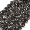 Natural Larvikite Beads Strands G-M403-C09-02-1