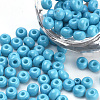 Baking Paint Glass Seed Beads SEED-Q025-4mm-M14-1