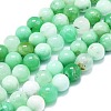 Natural Chrysoprase Beads Strands G-K245-A12-07-1