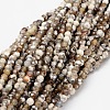 Faceted Natural Agate Round Beads Strands X-G-E318B-4mm-01-1