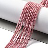 Natural Rhodonite Beads Strands G-H080-B02-02-2