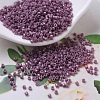 MIYUKI Delica Beads X-SEED-J020-DB0265-1