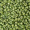 6/0 Glass Seed Beads SEED-A012-4mm-124-2