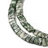 Natural Green Spot Jasper Beads Strands G-Z045-A02-01-4