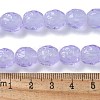 Handmade Lampwork Beads Strands LAMP-Z011-01C-4