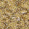 Glass Seed Beads SEED-S042-04B-07-3