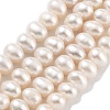 Natural Cultured Freshwater Pearl Beads Strands PEAR-C003-26-2