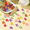 Transparent Acrylic Beads PL622M-5