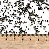 Electroplate Glass Seed Beads SEED-H003-10L-4