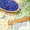 100G Glass Seed Beads SEED-SZ0001-027C-2