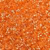 Electroplate Glass Seed Beads SEED-H003-10B-2