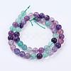 Natural Fluorite Beads Strands G-P318-05-8mm-4