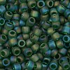 TOHO 8/0 Round Beads X-SEED-TR08-0167BF-2