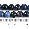 Natural Dumortierite Beads Strands G-G167-A06-10MM-5