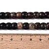 Natural Biotite Beads Strands G-Q616-02A-11-5