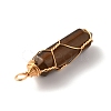 Natural Tiger Eye Double Terminated Pointed Pendants G-TAC0010-04G-05-2