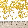 MIYUKI Round Rocailles Beads SEED-JP0009-RR0422D-4