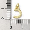 Rack Plating Brass Charms KK-P245-06G-C-3