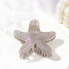 Acrylic Claw Hair Clips PW-WG75673-05-1