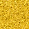 MIYUKI Round Rocailles Beads X-SEED-G008-RR0422D-4