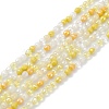 Gradient Color Electroplate Glass Bead Strands X-GLAA-E042-04D-1