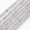 Natural Labradorite Beads Strands G-K185-10-1