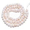 Natural Cultured Freshwater Pearl Beads Strands X-PEAR-N013-04E-2
