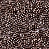 FGB 11/0 Grade A Glass Seed Beads X-SEED-S030-1205-2