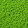 MIYUKI Round Rocailles Beads X-SEED-G007-RR4471-2