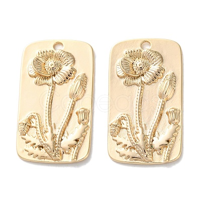 Brass Pendants KK-C079-11G-1