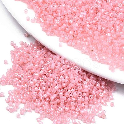 FGB 11/0 Grade A Baking Paint Glass Seed Beads X-SEED-S030-1143-1