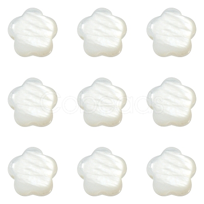 30Pcs Natural Freshwater Shell Beads SHEL-CJ0001-29-1