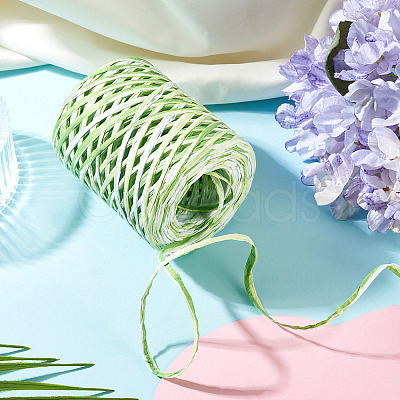 Raffia Twine Yarn OCOR-TAC0025-009D-1