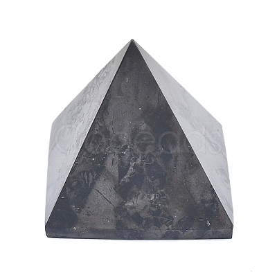 Natural Shungite Home Display Decorations G-F675-22-1