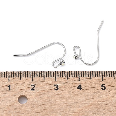 SHEGRACE Brass Earring Hooks XGR0137P-155P-1