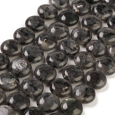 Natural Larvikite Beads Strands G-M403-C09-02-1