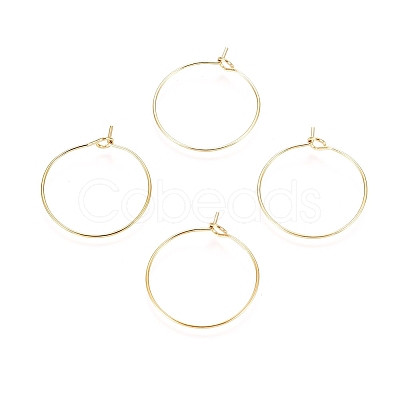 Ion Plating(IP) 316L Surgical Stainless Steel Hoop Earring Findings STAS-D164-06G-1